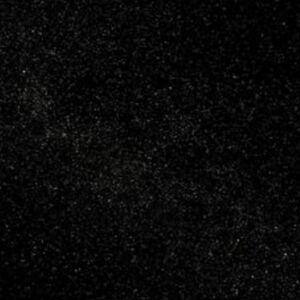 Meet your Posher, Jaxson